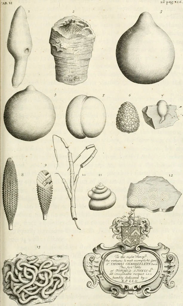 An illustration from The natural history of Oxford-shire : being an essay toward the natural history of England, 1677, leaf 158