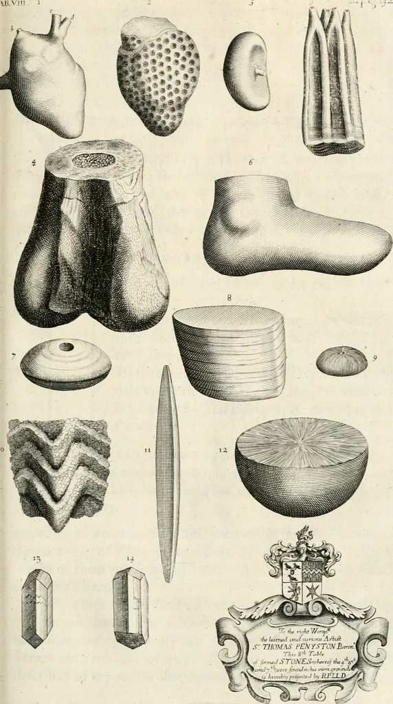 An illustration from The natural history of Oxford-shire : being an essay toward the natural history of England, 1677, leaf 178