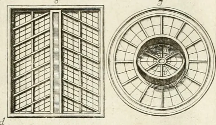 An illustration from The natural history of Oxford-shire : being an essay toward the natural history of England, 1677, leaf 318