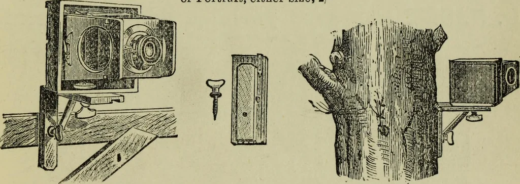 An illustration from Naturalistic photography for students of the art, 1889, leaf 336