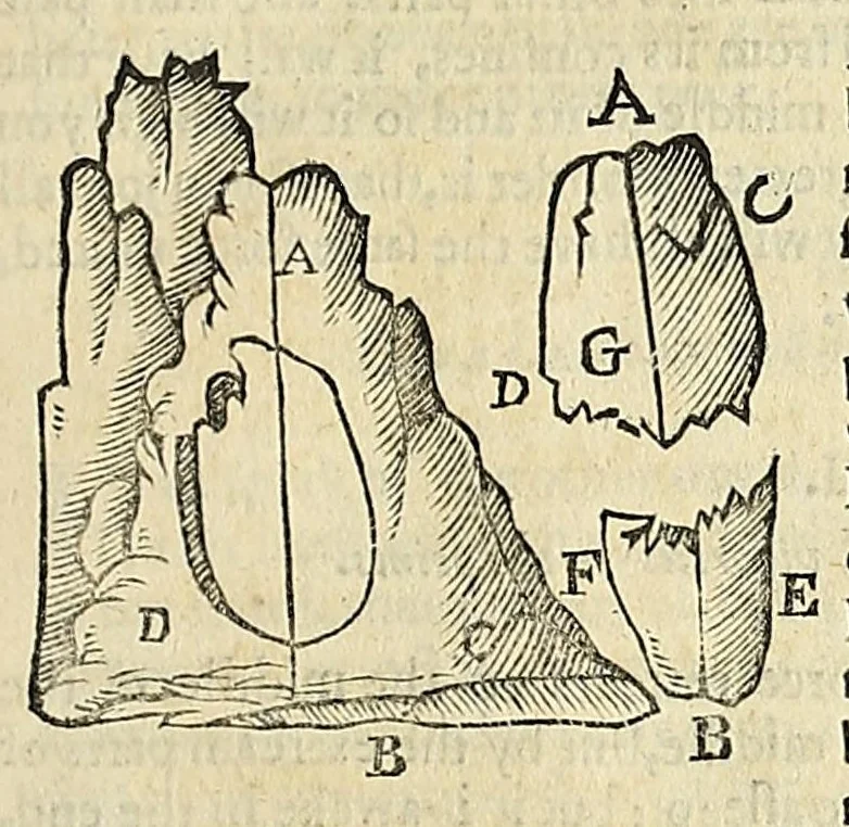 An illustration from Natural magick, 1658, leaf 207