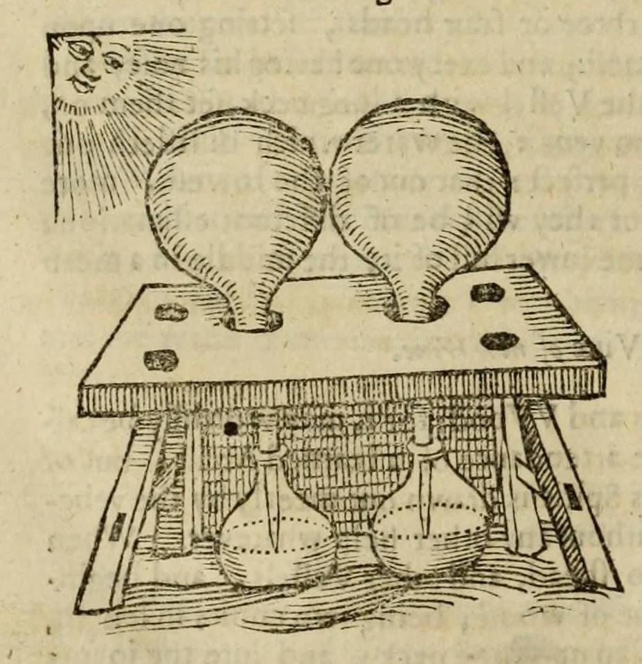 An illustration from Natural magick, 1658, leaf 274
