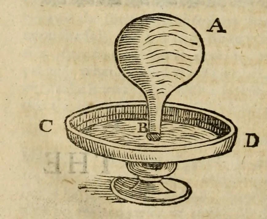 An illustration from Natural magick, 1658, leaf 398