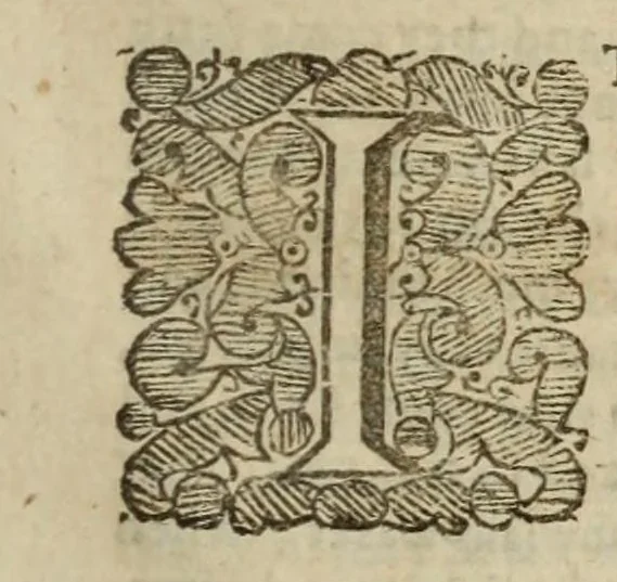 An illustration from Natural magick, 1658, leaf 411