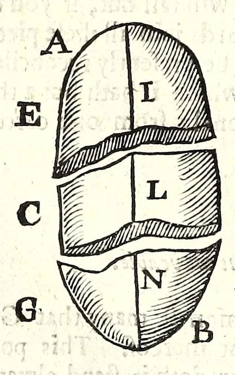 An illustration from Natural magick by John Baptista Porta, a Neapolitane : in twenty books : wherein are set forth all the riches and delights of the natural sciences, 1658, leaf 208