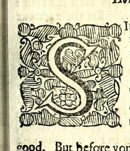 An illustration from Natural magick by John Baptista Porta, a Neapolitane : in twenty books : wherein are set forth all the riches and delights of the natural sciences, 1658, leaf 247