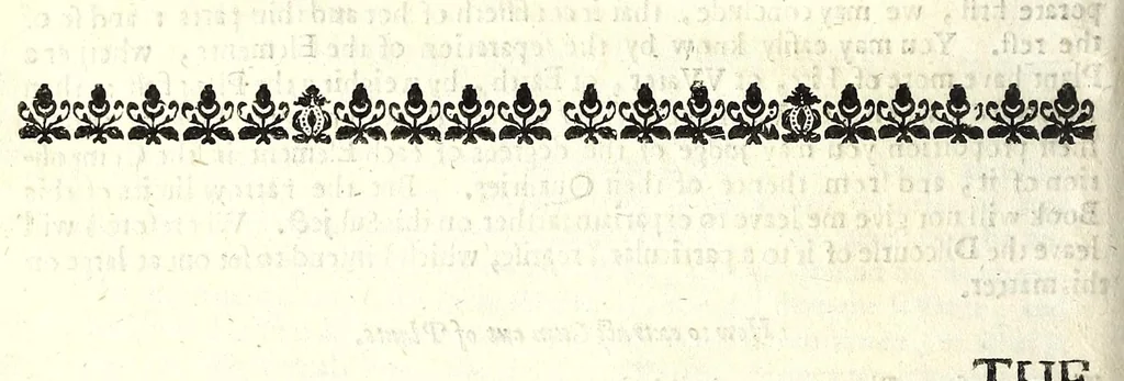 An illustration from Natural magick by John Baptista Porta, a Neapolitane : in twenty books : wherein are set forth all the riches and delights of the natural sciences, 1658, leaf 294