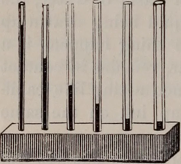 An illustration from A natural philosophy : embracing the most recent discoveries in the various branches of physics, and exhibiting the application of scientific principles in everyday life .., 1899, leaf 153