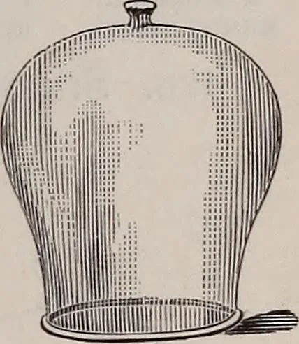 An illustration from A natural philosophy : embracing the most recent discoveries in the various branches of physics, and exhibiting the application of scientific principles in everyday life .., 1899, leaf 182