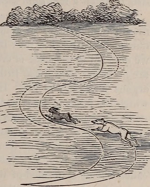 An illustration from A natural philosophy : embracing the most recent discoveries in the various branches of physics, and exhibiting the application of scientific principles in everyday life .., 1899, leaf 22