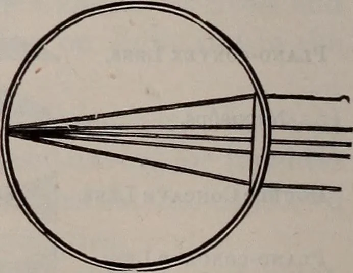 An illustration from A natural philosophy : embracing the most recent discoveries in the various branches of physics, and exhibiting the application of scientific principles in everyday life .., 1899, leaf 255