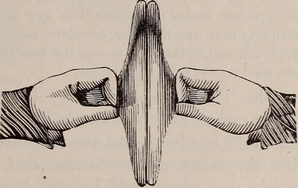 An illustration from A natural philosophy : embracing the most recent discoveries in the various branches of physics, and exhibiting the application of scientific principles in everyday life .., 1899, leaf 26