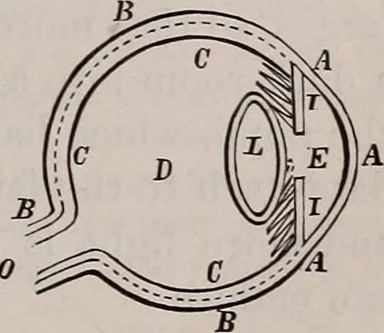 An illustration from A natural philosophy : embracing the most recent discoveries in the various branches of physics, and exhibiting the application of scientific principles in everyday life .., 1899, leaf 266