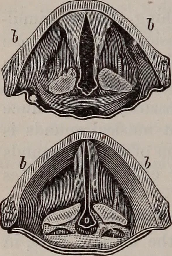 An illustration from A natural philosophy : embracing the most recent discoveries in the various branches of physics, and exhibiting the application of scientific principles in everyday life .., 1899, leaf 291