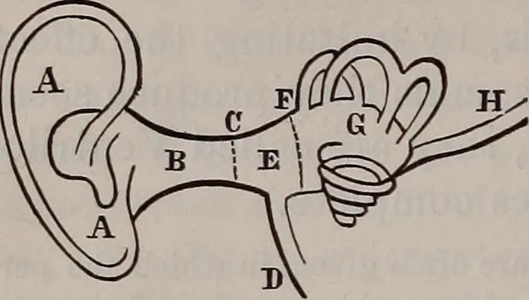 An illustration from A natural philosophy : embracing the most recent discoveries in the various branches of physics, and exhibiting the application of scientific principles in everyday life .., 1899, leaf 293