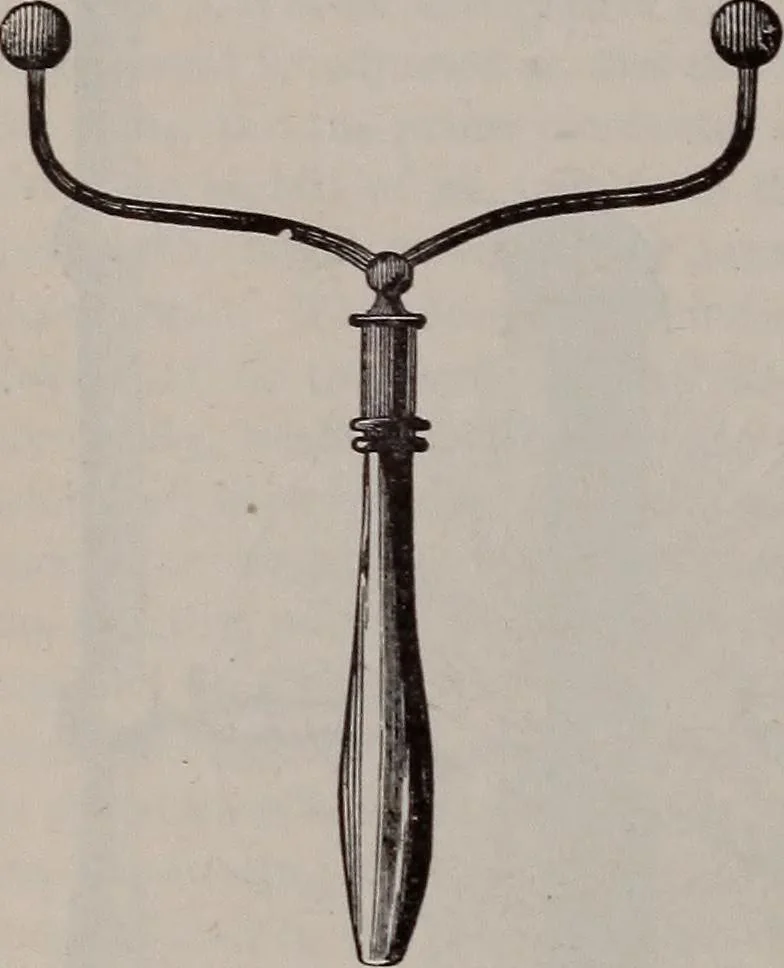 An illustration from A natural philosophy : embracing the most recent discoveries in the various branches of physics, and exhibiting the application of scientific principles in everyday life .., 1899, leaf 303