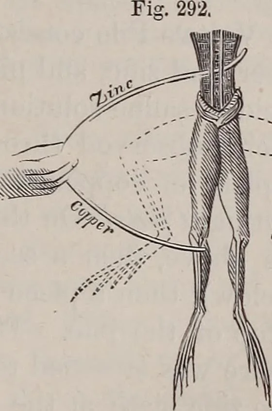 An illustration from A natural philosophy : embracing the most recent discoveries in the various branches of physics, and exhibiting the application of scientific principles in everyday life .., 1899, leaf 322