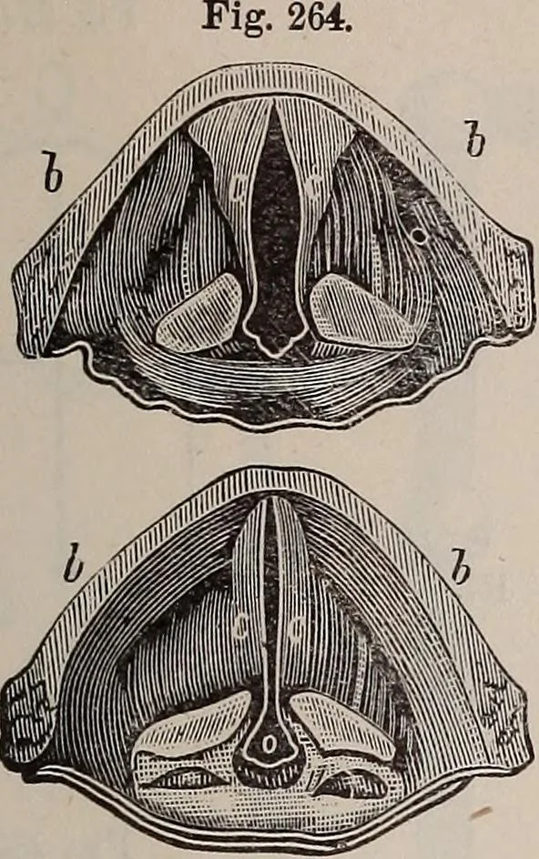 An illustration from A natural philosophy : embracing the most recent discoveries in the various branches of physics, and exhibiting the application of scientific principles in everyday life .., 1899, leaf 438