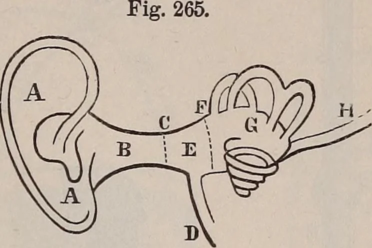 An illustration from A natural philosophy : embracing the most recent discoveries in the various branches of physics, and exhibiting the application of scientific principles in everyday life .., 1899, leaf 438