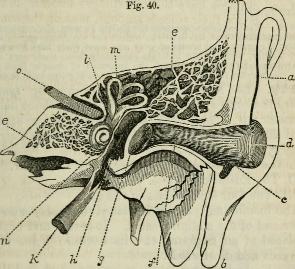 An illustration from Natural philosophy. including statics, hydrostatics, pneumatics, dynamics, hydrodynamics, the general theory of undulations, the science of sound, the mechanical theory of music, etc. : designed for the use of normal and grammar schools, and the higher classes in common schools, 1861, leaf 184