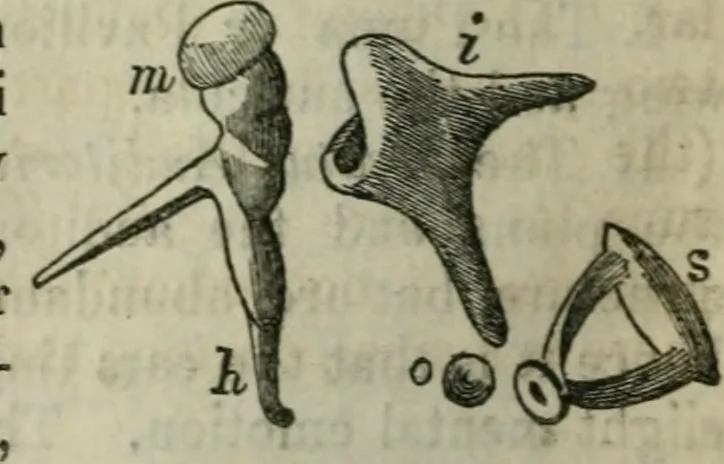 An illustration from Natural philosophy. including statics, hydrostatics, pneumatics, dynamics, hydrodynamics, the general theory of undulations, the science of sound, the mechanical theory of music, etc. : designed for the use of normal and grammar schools, and the higher classes in common schools, 1861, leaf 185