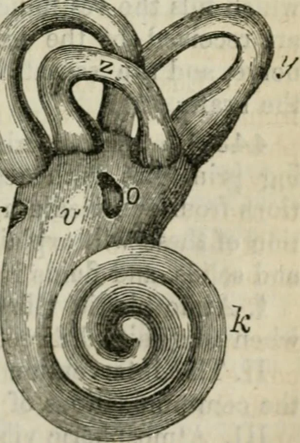 An illustration from Natural philosophy. including statics, hydrostatics, pneumatics, dynamics, hydrodynamics, the general theory of undulations, the science of sound, the mechanical theory of music, etc. : designed for the use of normal and grammar schools, and the higher classes in common schools, 1861, leaf 186