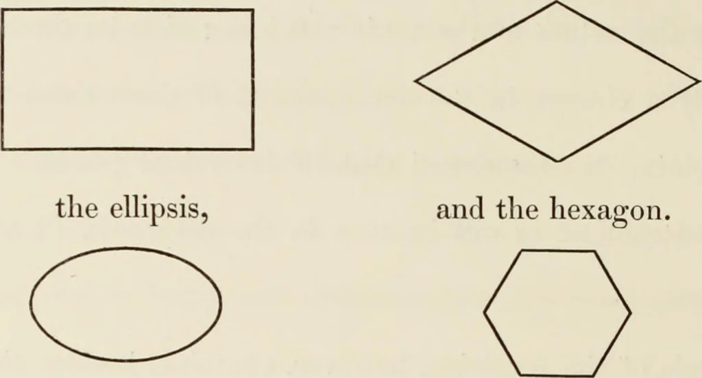 An illustration from The natural principles and analogy of the harmony of form, 1842, leaf 31