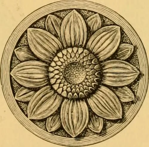 An illustration from Natural wood ornaments : for furniture manufacturers, architects, builders, interior decorators, stair builders, car builders, organ manufacturers, steamboat builders, etc., etc., 1883, leaf 10