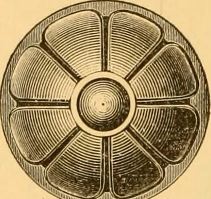An illustration from Natural wood ornaments : for furniture manufacturers, architects, builders, interior decorators, stair builders, car builders, organ manufacturers, steamboat builders, etc., etc., 1883, leaf 13