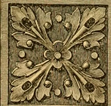 An illustration from Natural wood ornaments : for furniture manufacturers, architects, builders, interior decorators, stair builders, car builders, organ manufacturers, steamboat builders, etc., etc., 1883, leaf 14