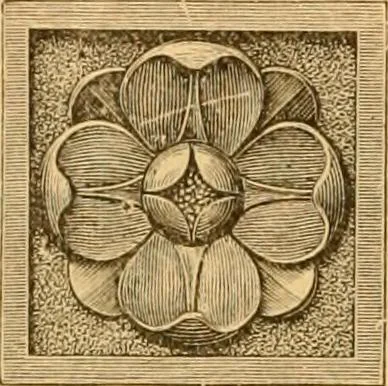 An illustration from Natural wood ornaments : for furniture manufacturers, architects, builders, interior decorators, stair builders, car builders, organ manufacturers, steamboat builders, etc., etc., 1883, leaf 15