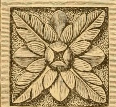 An illustration from Natural wood ornaments : for furniture manufacturers, architects, builders, interior decorators, stair builders, car builders, organ manufacturers, steamboat builders, etc., etc., 1883, leaf 15