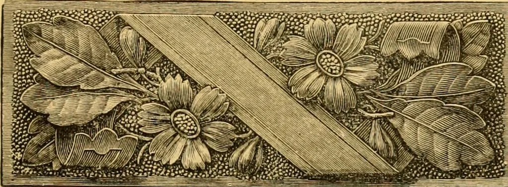 An illustration from Natural wood ornaments : for furniture manufacturers, architects, builders, interior decorators, stair builders, car builders, organ manufacturers, steamboat builders, etc., etc., 1883, leaf 18