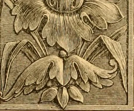 An illustration from Natural wood ornaments : for furniture manufacturers, architects, builders, interior decorators, stair builders, car builders, organ manufacturers, steamboat builders, etc., etc., 1883, leaf 19