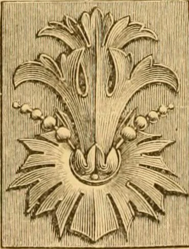 An illustration from Natural wood ornaments : for furniture manufacturers, architects, builders, interior decorators, stair builders, car builders, organ manufacturers, steamboat builders, etc., etc., 1883, leaf 19