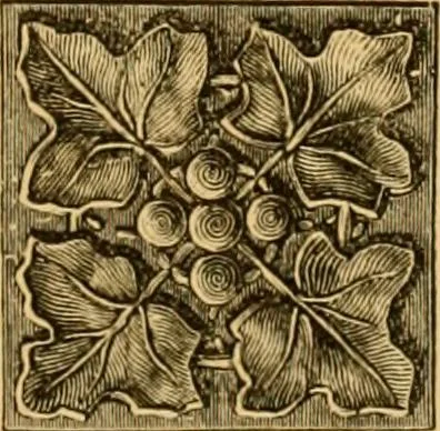 An illustration from Natural wood ornaments : for furniture manufacturers, architects, builders, interior decorators, stair builders, car builders, organ manufacturers, steamboat builders, etc., etc., 1883, leaf 20