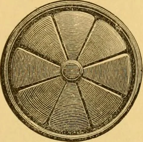 An illustration from Natural wood ornaments : for furniture manufacturers, architects, builders, interior decorators, stair builders, car builders, organ manufacturers, steamboat builders, etc., etc., 1883, leaf 8