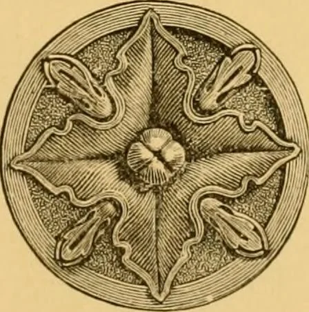 An illustration from Natural wood ornaments : for furniture manufacturers, architects, builders, interior decorators, stair builders, car builders, organ manufacturers, steamboat builders, etc., etc., 1883, leaf 8