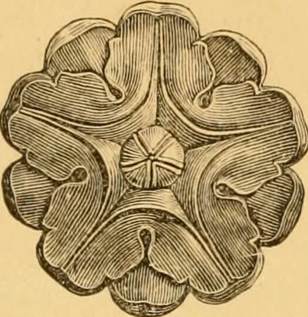 An illustration from Natural wood ornaments : for furniture manufacturers, architects, builders, interior decorators, stair builders, car builders, organ manufacturers, steamboat builders, etc., etc., 1883, leaf 9