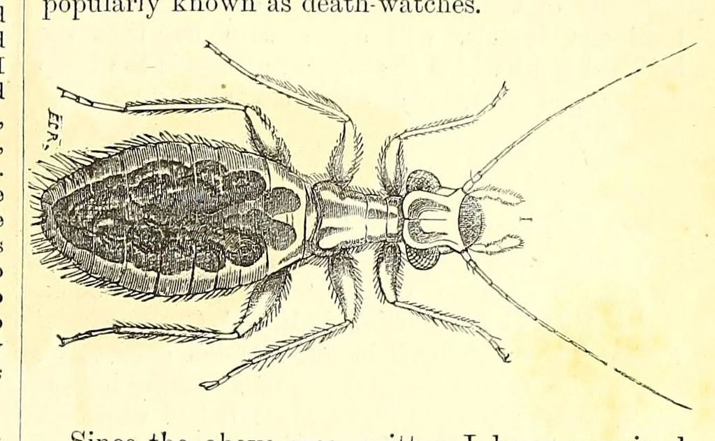 An illustration from Nature and art, 1866, leaf 195