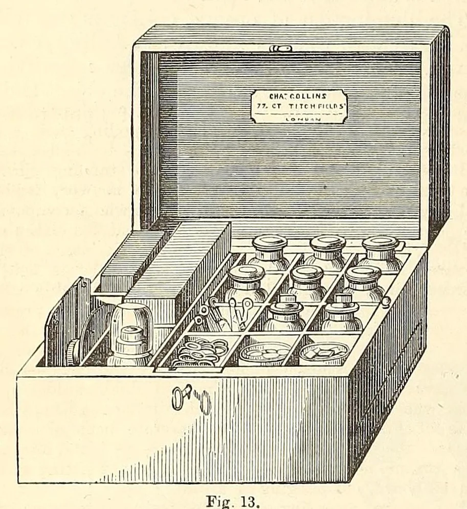 An illustration from Nature and art, 1866, leaf 594