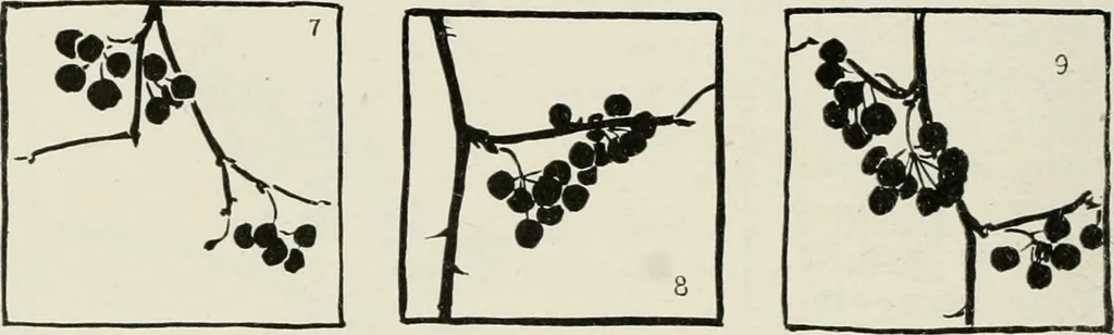An illustration from Nature drawing from various points of view, 1910, leaf 107
