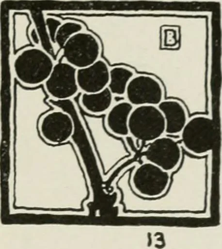 An illustration from Nature drawing from various points of view, 1910, leaf 108