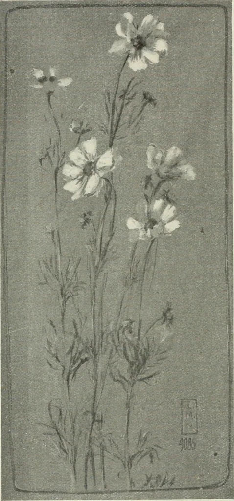An illustration from Nature drawing from various points of view, 1910, leaf 117