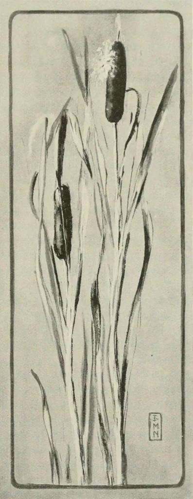 An illustration from Nature drawing from various points of view, 1910, leaf 118