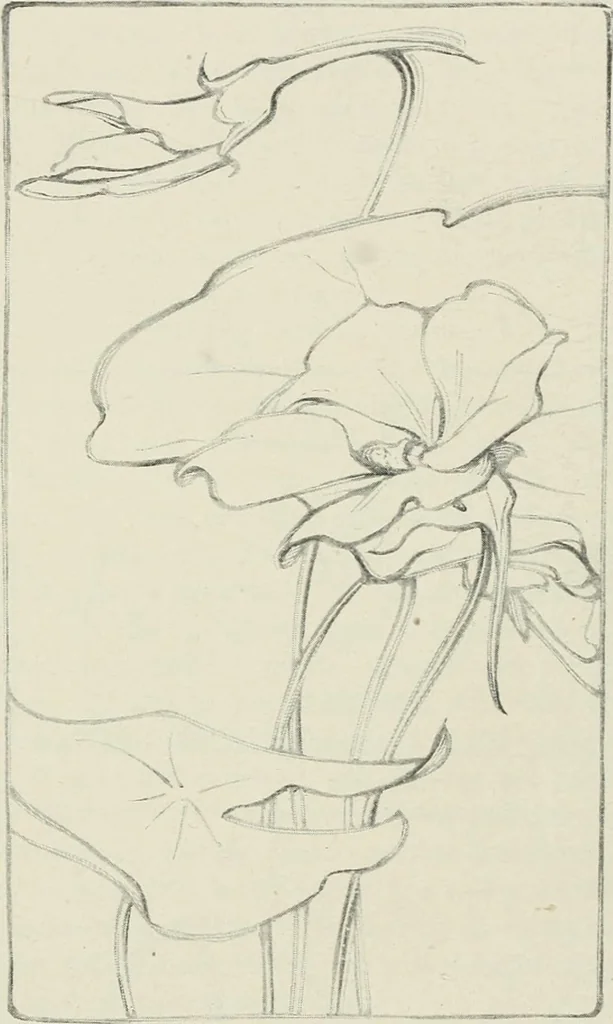 An illustration from Nature drawing from various points of view, 1910, leaf 123