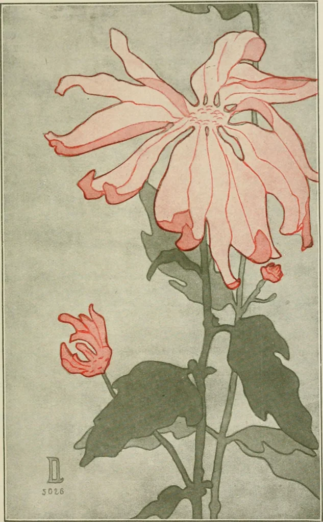 An illustration from Nature drawing from various points of view, 1910, leaf 124