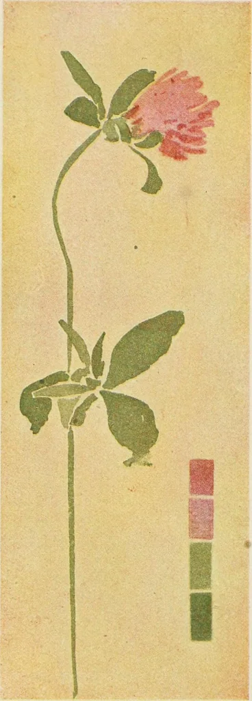 An illustration from Nature drawing from various points of view, 1910, leaf 13