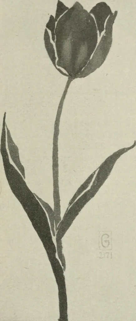 An illustration from Nature drawing from various points of view, 1910, leaf 138