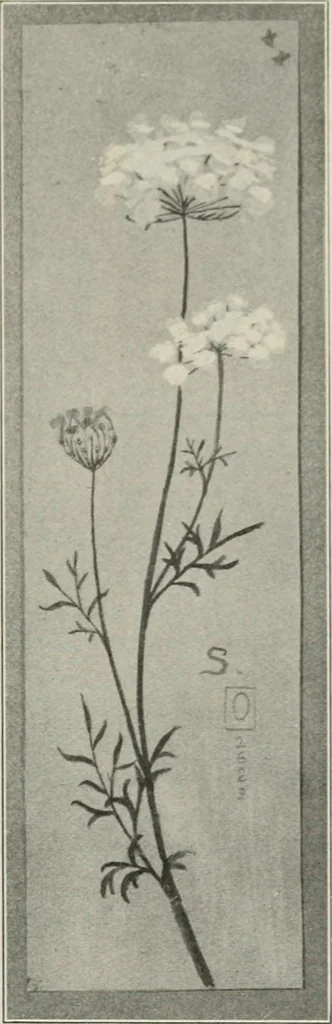 An illustration from Nature drawing from various points of view, 1910, leaf 138